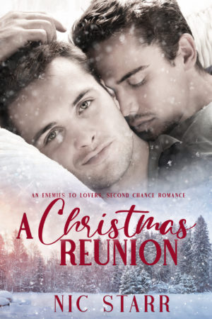 A Christmas Reunion by Nic Starr